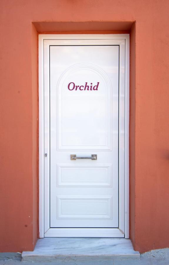 Orchid Athens Over Rooftop Studio Atenas Exterior foto