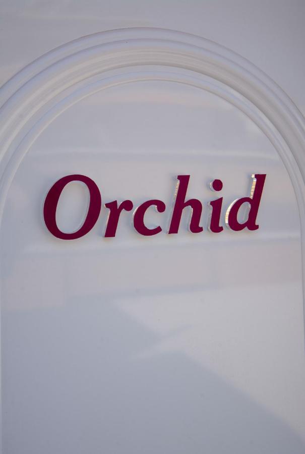 Orchid Athens Over Rooftop Studio Atenas Exterior foto